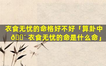 衣食无忧的命格好不好「算卦中 🐴 衣食无忧的命是什么命」